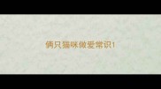 俩只猫咪做爱常识