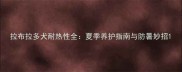 拉布拉多犬耐热性全夏季养护指南与防暑妙招