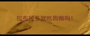 拉布拉多就吃狗粮吗