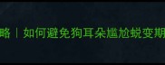 哈士奇幼犬尴尬期耳朵护理全攻略如何避免狗耳朵尴尬蜕变期哈士奇养护宠物护理幼犬成长