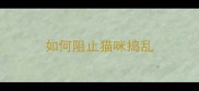 如何阻止猫咪捣乱