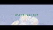 黑白边牧贵还是陨石边牧贵
