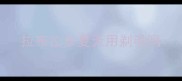 拉布拉多夏天用剃毛吗