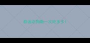 泰迪吃狗粮一次吃多少