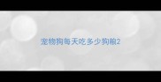 宠物狗每天吃多少狗粮