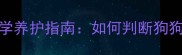 哈士奇停止长高年龄与科学养护指南如何判断狗狗停止生长并保障健康发育