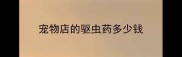 宠物店的驱虫药多少钱