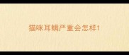 猫咪耳螨严重会怎样