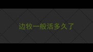 边牧一般活多久了