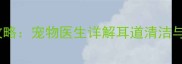 犬耳毛修剪全攻略宠物医生详解耳道清洁与毛发处理技巧