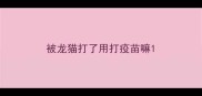 被龙猫打了用打疫苗嘛