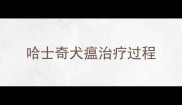 哈士奇犬瘟治疗过程