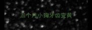 五个月小狗牙齿变黄