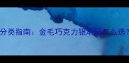 拉布拉多犬种分类指南金毛巧克力银渐层怎么选附饲养全攻略