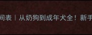 宠物狗成长时间表从奶狗到成年犬全新手必看养狗指南