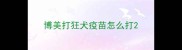 博美打狂犬疫苗怎么打