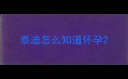 泰迪怎么知道怀孕