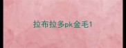 拉布拉多pk金毛