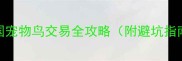 中国宠物鸟交易全攻略附避坑指南