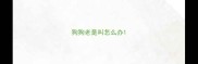 狗狗老是叫怎么办