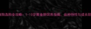 宠物狗选购全攻略1-10岁黄金期饲养指南品种特性与成长阶段