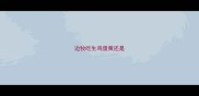 边牧吃生鸡蛋黄还是