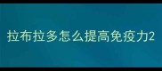 拉布拉多怎么提高免疫力