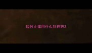 边牧止痒用什么针药药