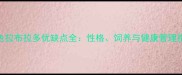 黑色拉布拉多优缺点全性格饲养与健康管理指南