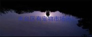 丰台区有宠物市场吗