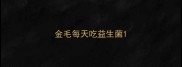 金毛每天吃益生菌