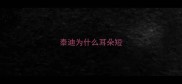泰迪为什么耳朵短