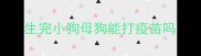生完小狗母狗能打疫苗吗