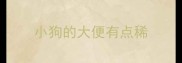 小狗的大便有点稀