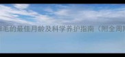 拉布拉多不掉毛的最佳月龄及科学养护指南附全周期护理方案