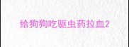 给狗狗吃驱虫药拉血
