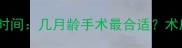 贵宾犬公犬绝育最佳时间几月龄手术最合适术后护理与注意事项全