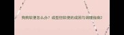 狗狗软便怎么办成型但软便的成因与调理指南