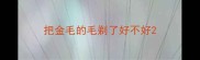 把金毛的毛剃了好不好