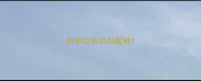 拉布拉多奶白配种