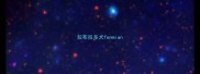 拉布拉多犬fenmian