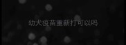 幼犬疫苗重新打可以吗