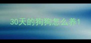 30天的狗狗怎么养