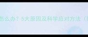 小狗睡觉抖动怎么办5大原因及科学应对方法附护理指南