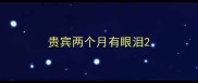 贵宾两个月有眼泪