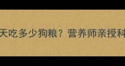 一岁泰迪狗一天吃多少狗粮营养师亲授科学喂养指南