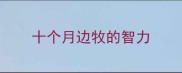 十个月边牧的智力