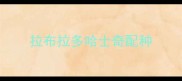 拉布拉多哈士奇配种