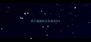 两只猫猫咪关系是否好