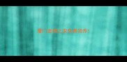 厦门宠物之家免费领养